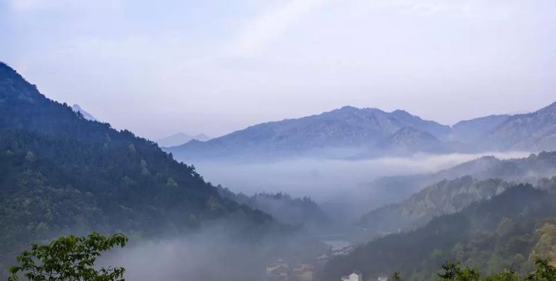 ������Ͽ