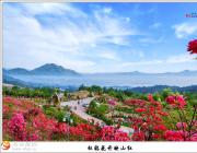 [�������] �ž黨��ӳɽ��