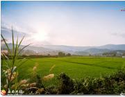 [�������] ��ɫ��԰