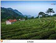 [�������] ʯ���԰