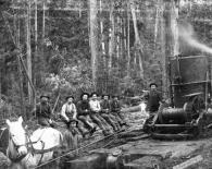 ս���ձ�Ӱ������������