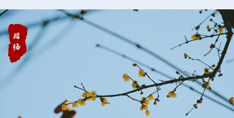 ��������⡿��÷����