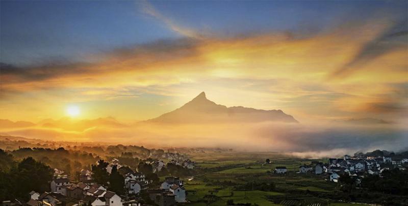 ��������  �������