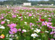 ��������⡿��ɣ��������