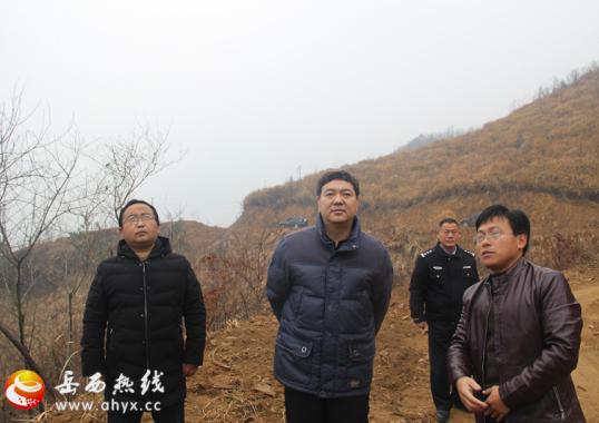 �ܶ��������򶽲���ƶ����ɭ�ַ�����